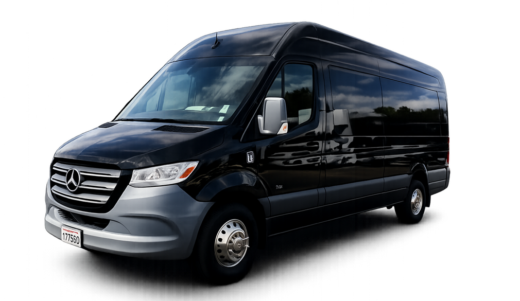 Sprinter Limo 12 to 14 Passengers